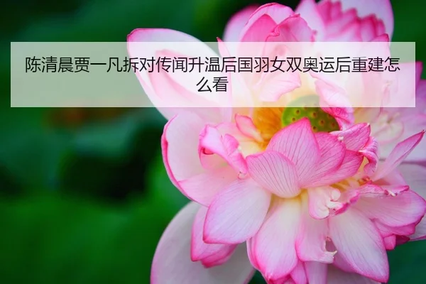陈清晨贾一凡拆对传闻升温后国羽女双奥运后重建怎么看