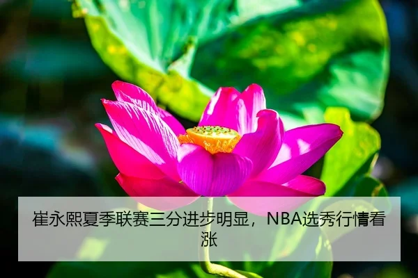 崔永熙夏季联赛三分进步明显，NBA选秀行情看涨