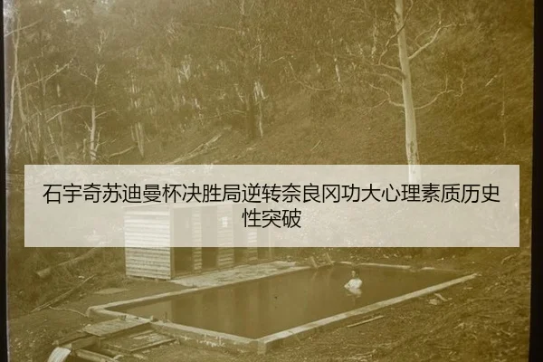 石宇奇苏迪曼杯决胜局逆转奈良冈功大心理素质历史性突破