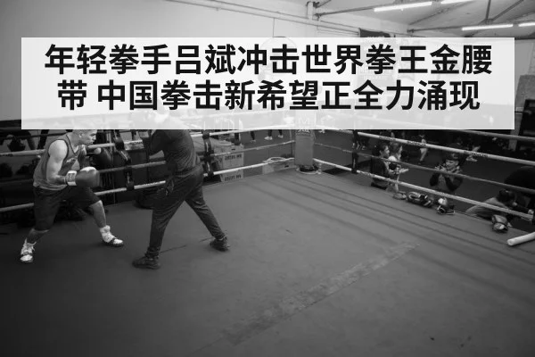 boxer training gym